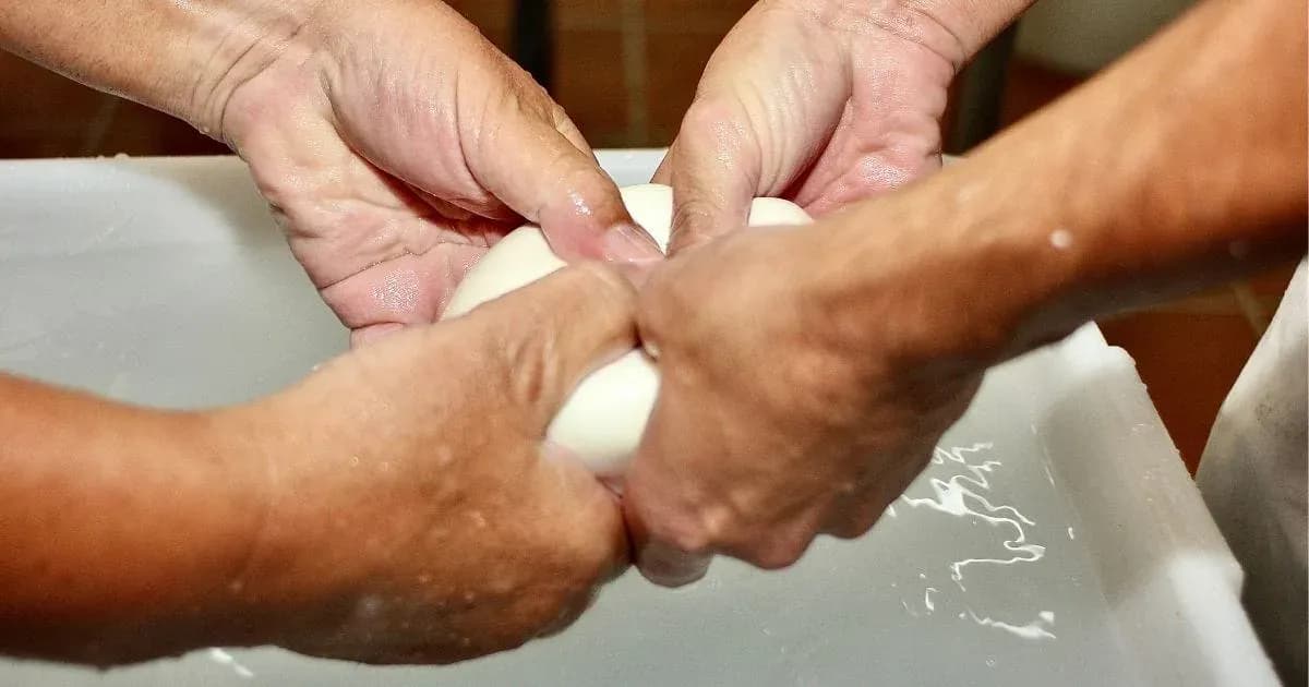 Con las manos en la mozzarella: un viernes en la quesería Paolì 